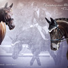 Rendezvous Special - Randy - Collage