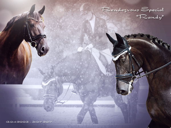 Rendezvous Special - Randy - Collage