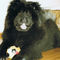Album - Chows - 2006 - Ronja8