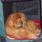 Album - Chows - 2009 - Ottaaru - Turi relaxed