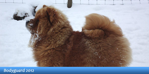 B-Wurf: Bodyguard - 2012 - Erster Schnee!