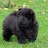 Ronja - 2005 - November