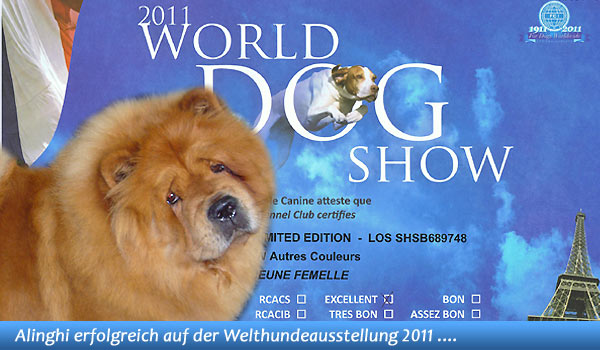 News - Chows - Worlddogshow 2011 Paris - in the Spotlight