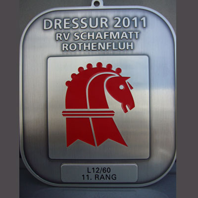 News - Pferde - 2011 - Dressurtage Rothenfluh BL