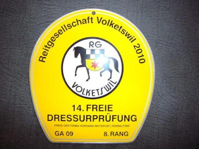 News - Pferde - 2010 - Freie Dressurprüfungen in Volketswil