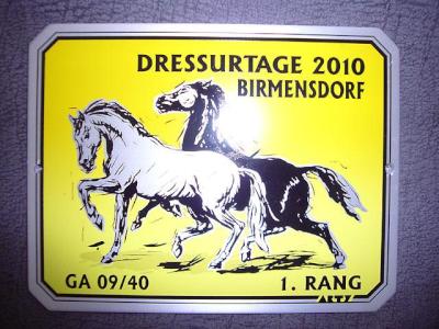 News - Pferde - 2010 - Dressurtage Birmensdorf ZH des Kavallerievereins Limmattal