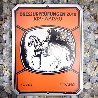 News - Pferde - 2010 - Freie Dressurprüfung in Aarau