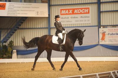 News - Pferde - 2010 - Dressurtage Buchs ZH (1)