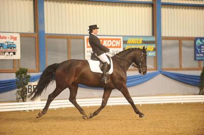 News - Pferde - 2010 - Dressurtage Buchs ZH (2)