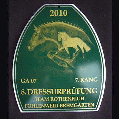 News - Pferde - 2010 - Dressurprüfung - Team Rothenfluh Fohlenweid Bremgarten (2)