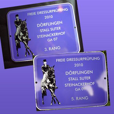 News - Pferde - 2010 - Freie Dressurprüfung - Stall Suter Dörflingen SH
