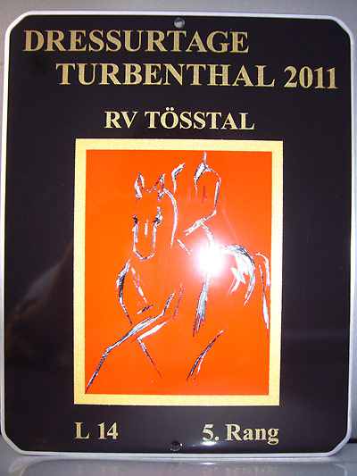 News - Pferde - 2011 - Dressurtage Turbenthal, 13.- 15. Mai 2011