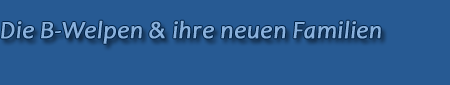 Die B-Welpen & ihre neuen Familien