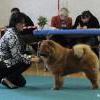 News 2012 - Wangen - Bazooka-4