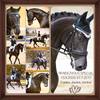 Rendezvous Special - Randy - Erinnerungen