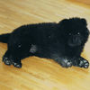 Album - Chows - 2006 - Ronja3