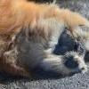 Besuch am Zugersee / Fotos by Toni Limacher-10