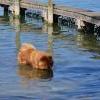 Besuch am Zugersee / Fotos by Toni Limacher-12