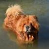 Besuch am Zugersee / Fotos by Toni Limacher-15