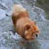 Besuch am Zugersee / Fotos by Toni Limacher-16