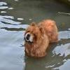 Besuch am Zugersee / Fotos by Toni Limacher-17
