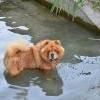 Besuch am Zugersee / Fotos by Toni Limacher-19