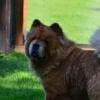 Besuch am Zugersee / Fotos by Toni Limacher-21