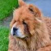 Besuch am Zugersee / Fotos by Toni Limacher-22