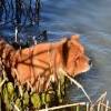 Besuch am Zugersee / Fotos by Toni Limacher-28