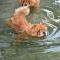 Besuch am Zugersee / Fotos by Toni Limacher-29