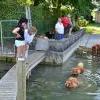 Besuch am Zugersee / Fotos by Toni Limacher-5