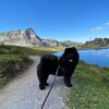 Album - Chows - 2021 - September - Milly Melchsee-Frutt-8