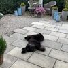 Album 2023 - Milly
