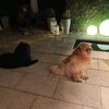 Album 2023 - Pearl und Milly-3