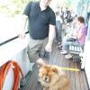B-Wurf: Bailey Balou of Swiss Limited Edition - 2013 - Juli-2