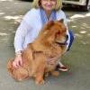B-Wurf: Balouga - 2013 - März - Balouga - Chow Chow Treffen Muhen