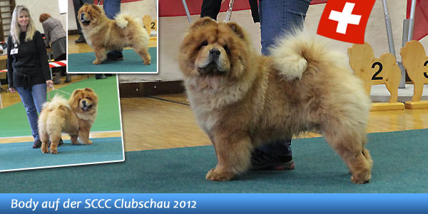 B-Wurf: Bodyguard - 2012 - Oktober - SCCC Clubschau