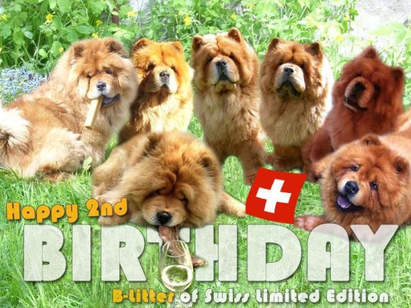 B-Wurf: Der 2. Geburtstag