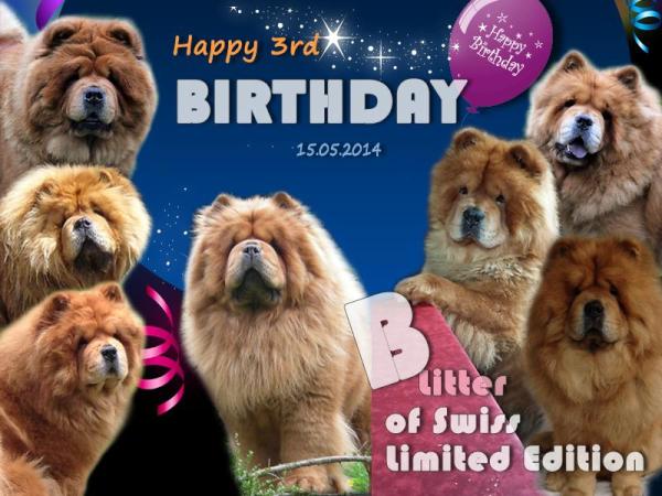 B-Wurf: Der 3. Geburtstag