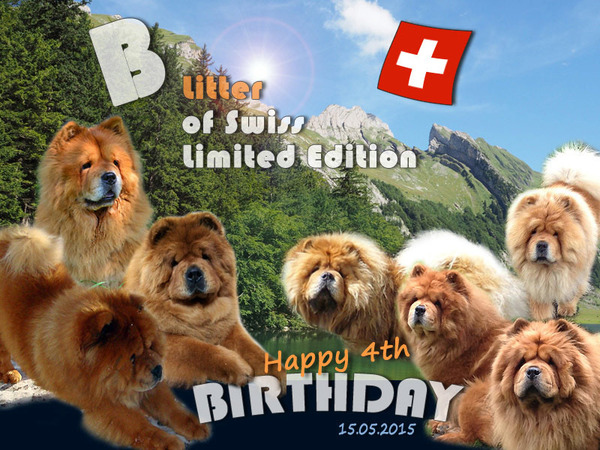 B-Wurf: Der 4. Geburtstag