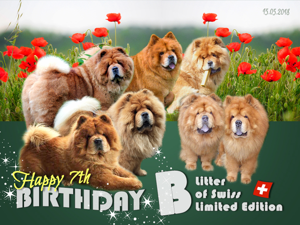 B-Wurf: der 7. Geburtstag