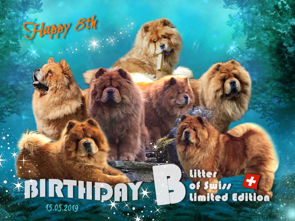 B-Wurf: der 8. Geburtstag
