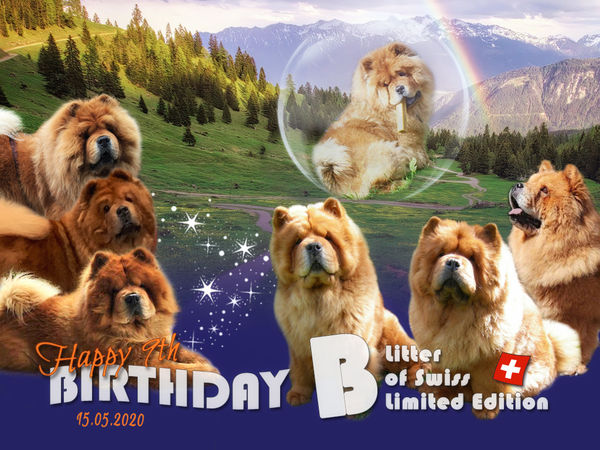 B-Wurf: Der 9. Geburtstag