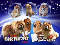 B-Wurf: Der 10. Geburtstag