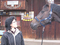 Bilder - Pferde - 2007 - Blicke