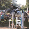 Bilder - Pferde - 1995 - CS Buttwil-2