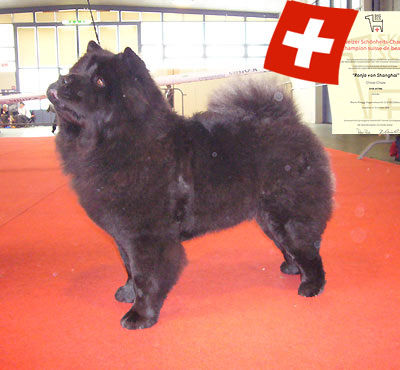 Champion - Ronja