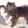 Ronja - 2007 - März Auf der Seemauer, mit Eliane