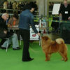 News - 2008 - Stuttgart Unicca