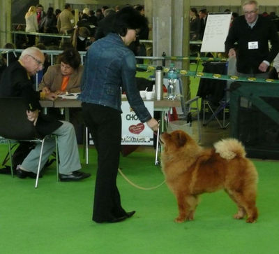 News - 2008 - Stuttgart Unicca